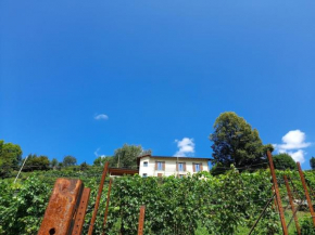 Cascina Teresina Zelbio